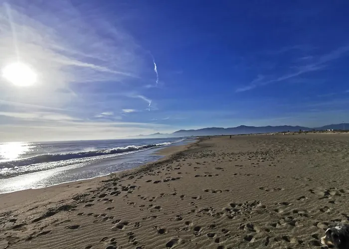 Daire Climatise Vue 208